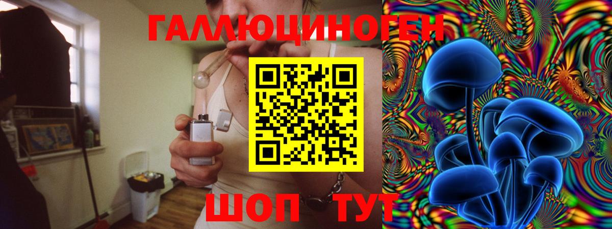 Галлюциногенные грибы ЛСД  Вход с VPN  купить наркоту  Унеча  Псилоцибиновые грибы GOLDEN TEACHER 